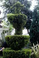 Topiary shapes are limited only by your imagination