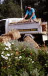 choose_gardener_3