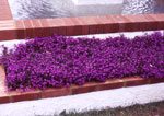garden pavilions 1