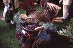 coloured garden 1