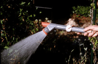 A massive amount of domestic water is used in the garden.  Get water wise, and learn how to save water with a carefully planned garden.