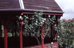 garden pavilions 5