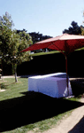 You can have the wedding reception in the garden, with only a few simple pieces of furniture and decorations