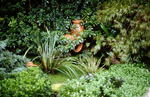 Different plant colours, shapes and textures are mixed to create a wonderful effect.
