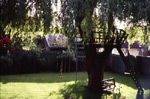 kids backyard