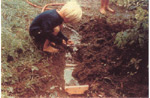 kids backyard