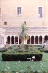Mediterranean Gardens 2