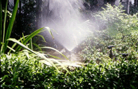 Misters are used to create humidity