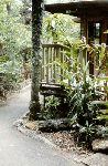 patio2