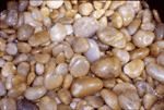 pebbles2