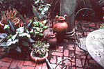 Portable Gardens 1