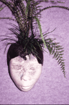 Portable Gardens 3
