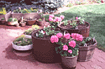 Portable Gardens 4