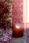 small garden 1