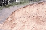 Stabilizing Soil