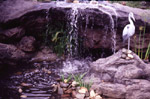 Splashing Water