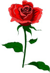 valentines 04