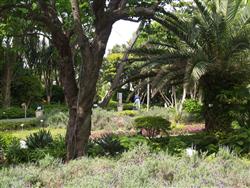 Cocking Garden