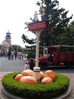 Disney Sea Pumpkin