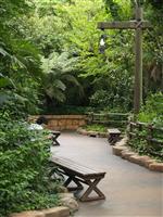 Disney Sea Rainforest