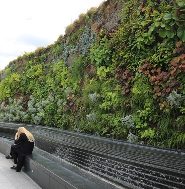 Garden Design Courses - Home study gardening and horticulture .... ACS Garden - garden design courses Garden Design Courses - Home study gardening and horticulture .... ACS Garden - garden design courses