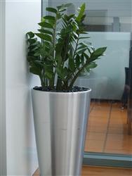 Indoor Plants courses | Distance Learning Interior Plantscaping Indoor Plants courses | Distance Learning Interior Plantscaping