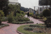 View toward the rose garden across the herb garden